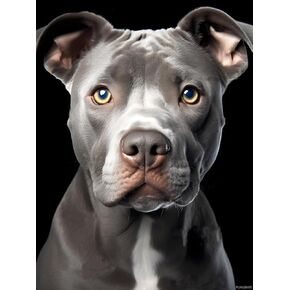 الأزرق الأنف بيتبول مع لوحة رمادية جسم الماس للبالغين ، Pitbull Dog Full Drill Art Art Paint