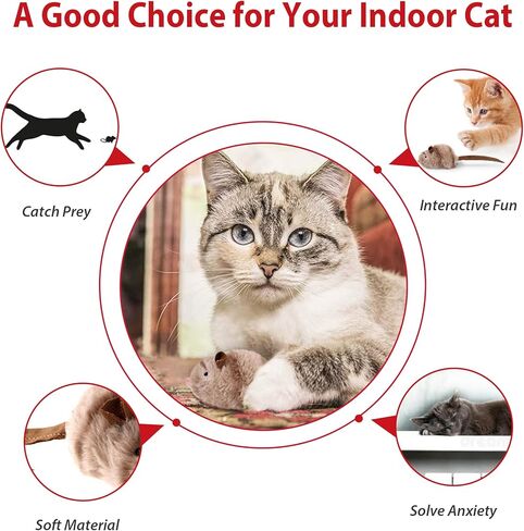 Gigwi Interactive Cat Toys for Indoor Cats, Rechargeable Motion Activated Cat Toy, Automatic Flapping and Chirping Cat Toy with Catnip, Beating Wings Hanging Cat Toy（Moving Bee） in Saudi Arabia