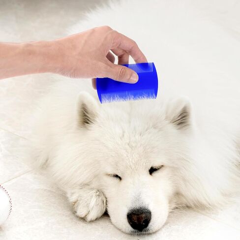 4 Pcs Lice Combs Double Sided Fine Tooth Comb Lice Comb For Dandruff Removal Thick Hair Tooth Head Nit Hair Combs For Adults Kids And Pet's Remove Head Lice Nits Fleas(4 Colors) in Kuwait