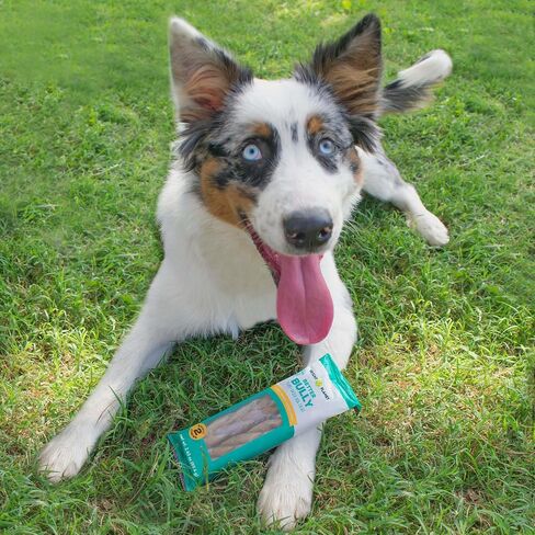 | Better Bully Vegan Dog Chews 2ct Large | Long Lasting Chew | Hypoallergenic Allergy- Friendly Plant-Based | Made in USA in Saudi Arabia