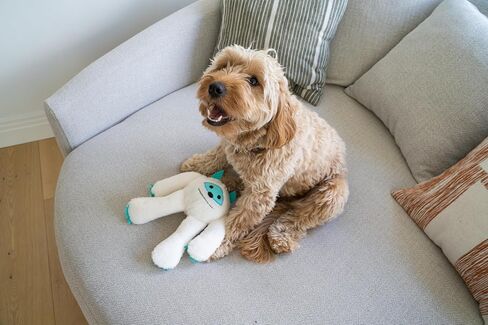 Flourish Pets 3 in 1 Multi-Layer Chew Toy for Active Dogs | Non-Toxic BPA Free Double Stitched Soft Fabric Exterior Dog Toys | Long-Lasting Dog Plush Toys – Large Yeti 11" in Saudi Arabia
