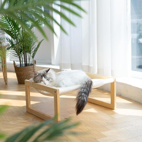 FUKUMARU Cat Couch Bed, Plush Velvet Elevated Bed for Indoor Cats, 21 x 16.5 Inch Wooden Pet Hammock, Suitable for Cat, Dog, Bunny, Rabbit, Kitten and Small Animal, Brown in Kuwait