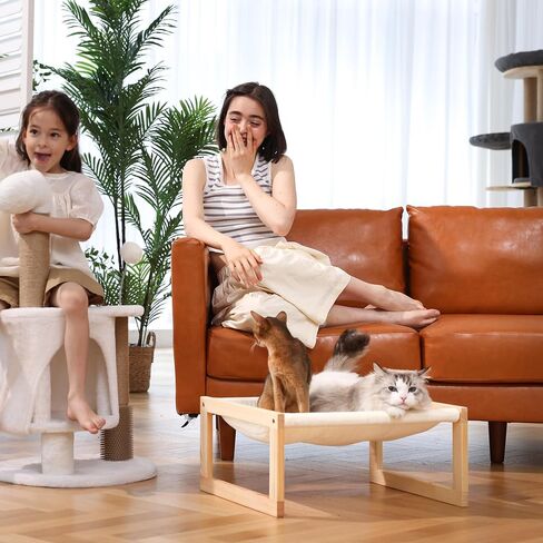FUKUMARU Cat Couch Bed, Plush Velvet Elevated Bed for Indoor Cats, 21 x 16.5 Inch Wooden Pet Hammock, Suitable for Cat, Dog, Bunny, Rabbit, Kitten and Small Animal, Brown in Kuwait