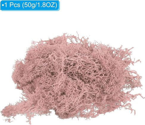 Patikil 1.8 أوقية مزيف الطحلب ، الرنة المحفوظة الطحلب الطحالب الاصطناعية القطع المركزية ديكور فو ، in Kuwait