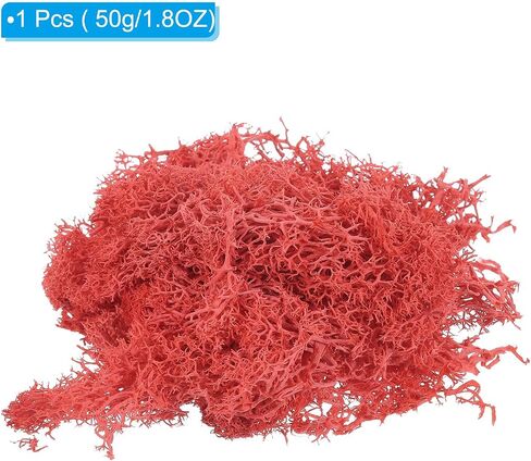 Patikil 1.8 أوقية مزيف الطحلب ، الرنة المحفوظة الطحلب الطحالب الاصطناعية القطع المركزية ديكور فو ، in Kuwait