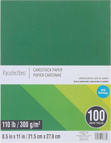 Clear 8.5"; x 11"; Vellum Paper by Recollections™, 100 Sheets in Saudi Arabia