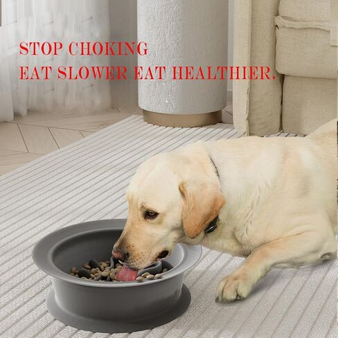 2 in 1 Slow Feeder Dog Bowl, Double Sided Dog Feeding Bowls Silicone Cats Slow Feeder Lick Mat Cat Lick Pad for Dry Food, Wet Food and Raw Food, Prevents Overfeeding for Small Medium Large Dogs in Saudi Arabia