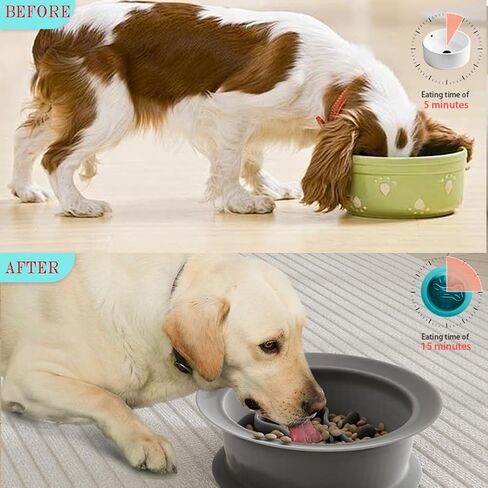 2 in 1 Slow Feeder Dog Bowl, Double Sided Dog Feeding Bowls Silicone Cats Slow Feeder Lick Mat Cat Lick Pad for Dry Food, Wet Food and Raw Food, Prevents Overfeeding for Small Medium Large Dogs in Saudi Arabia
