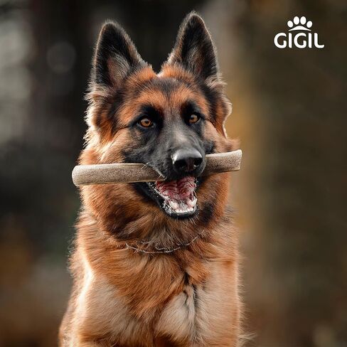GIGIL Treat You Pet Like a King - 100% Natural Deer Split Antlers for Medium Dogs - Premium Elk Antlers - Long Lasting Dog Chew Toy - Naturally Shed and Organic Antlers for Dogs - Size M in Saudi Arabia