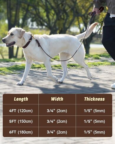 Joytale Leather Dog Leash, Genuine Cowhide with Brass Hook, Heavy Duty Leather Leashes for Large Medium Dogs（Brown, 6ft×3/4''） in Kuwait