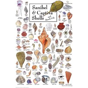 قذائف ألغاز التراث من Sanibel & Captiva Puzzle - 550 قطعة ، 18 "× 24" - الطبيعة الساحلية - الفن من تأليف John & Jackie Leatherbury Douglass - Beach and Marine Life - المصنوع في الولايات المتحدة.