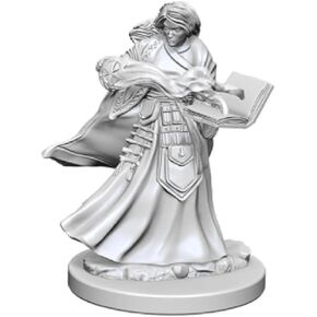 D&d Nolzur?s Marvelous Unpainted Minis: Human Female Wizard