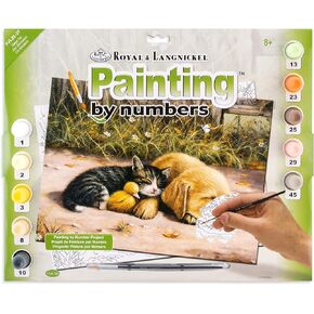 Royal & Langnickel Painting by Numbers Junior Large Art Activity Kit, Sleepy Day