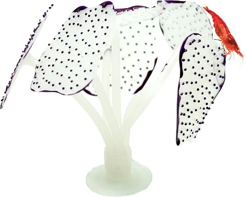 CTWPets Glowing Artificial Coral Aquarium Decoration – Starlight Feather Silicone Ornament – UV & Blue Light Reactive Fish Tank Decor (Glowing Orange) in Kuwait