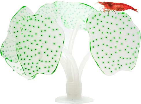 CTWPets Glowing Artificial Coral Aquarium Decoration – Starlight Feather Silicone Ornament – UV & Blue Light Reactive Fish Tank Decor (Glowing Orange) in Kuwait
