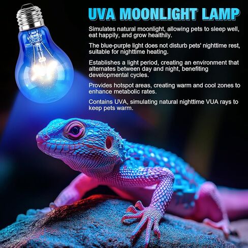 8 Pcs 100w Reptile Night Heat Lamp Bulb Simulate Natural Moonlight Basking Spot Light Purple Reptile Heating Basking Light Bulbs for Snake, Turtle, Bearded Dragon, Amphibian, Chicken in Saudi Arabia