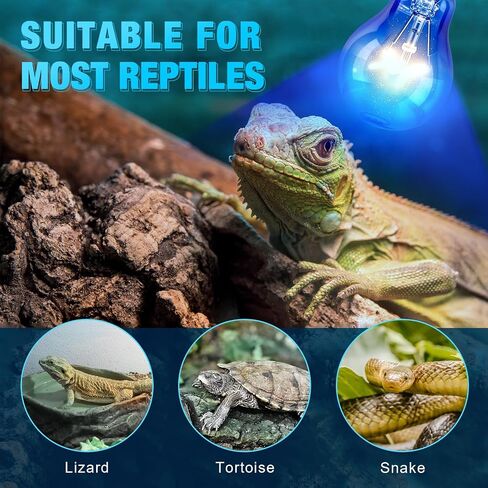8 Pcs 100w Reptile Night Heat Lamp Bulb Simulate Natural Moonlight Basking Spot Light Purple Reptile Heating Basking Light Bulbs for Snake, Turtle, Bearded Dragon, Amphibian, Chicken in Saudi Arabia
