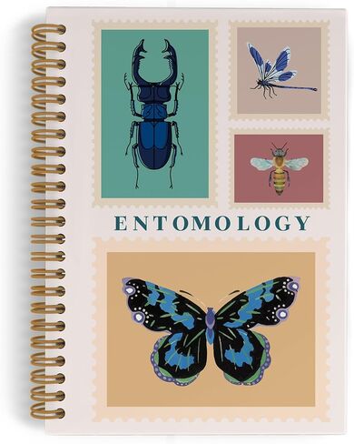 Bug Insect Spiral Notebook, Bugs Insect Journal Notebook, Spring Summer Bug Office Supplies Gifts for Bug Lovers Kids, Insect Entomologist Notebooks for School Work, Entomology Gifts,5.5x8.3 In in Saudi Arabia