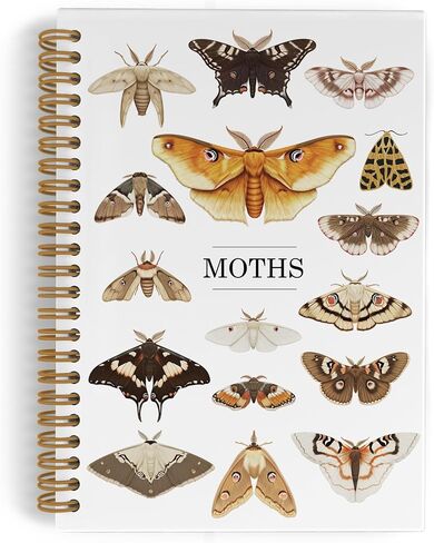 Bug Insect Spiral Notebook, Bugs Insect Journal Notebook, Spring Summer Bug Office Supplies Gifts for Bug Lovers Kids, Insect Entomologist Notebooks for School Work, Entomology Gifts,5.5x8.3 In in Saudi Arabia