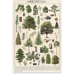 Vintage Tree Plant Wall Art - Botanical Arboretum Illustrative Reference Chart - Rustic Style Hanging Poster for Living Room, Office, Classroom - Unframed (12x18in/30x45cm)