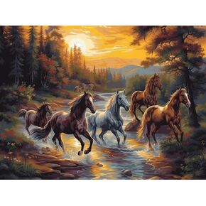 Kayeiuu DIY 5D Diamond Art Painting by Number Commul Clow Drill Paint Paint Arts Kits للبالغين الذين يركضون حصانًا عند غروب الشمس ، و Arts Paint
