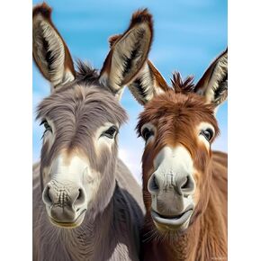 PuageMti Happy Dankeys Diamond Painting Kits Donkey Diamond Painting Art للبالغين جولة كاملة عن فن الماس للفنون للديكور الهدية 12x16 بوصة