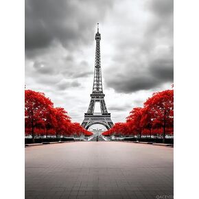 Qaceyid Paris Eiffel Tower Red Black and White 5D Adult Diamond Art ، DIY Diamond Art Painting kit for Decor Canvas 12x16inch