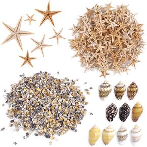 Ppclion 100 PCS 0.4 "-1" Small Starfish & 2000 PCS قذائف البحر الصغيرة
