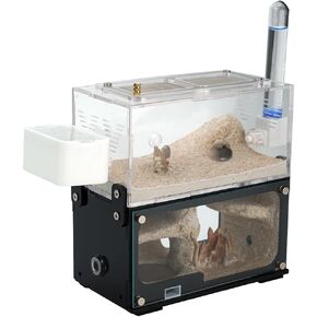 النمل النمل النمل منزل النمل للبالغين دراسة السلوك النمل نمل النمل terrarium formicarium formicarium للنمل الحية والملكة ، المناظر الطبيعية على طراز الكهف ، الأبيض