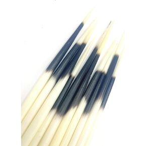 Porcupine quills Hair Stick Indian Crafts Accessories Fishing Buoy -10 Pieces（7 inch to 9 inch)