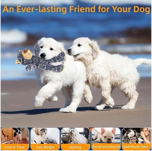 Indestructible Robust Bear - Dog Companion for Heavy Chewers, Squeaky Dog Toy for Aggressive Chewers, Unbreakable Stuffed Plush Toy - Forever Friend (Navy) in Kuwait