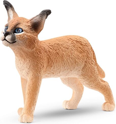 Schleich Wild Life Female Caracal Toy Fusure - لعبة حيوانية أصيلة ومفصلة للغاية ، متينة للتعليم واللعب المرح ، لعبة مثالية للبنين والبنات ، الذين تتراوح أعمارهم بين 3+ in Saudi Arabia