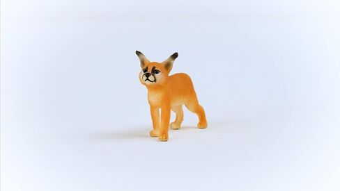 Schleich Wild Life Female Caracal Toy Fusure - لعبة حيوانية أصيلة ومفصلة للغاية ، متينة للتعليم واللعب المرح ، لعبة مثالية للبنين والبنات ، الذين تتراوح أعمارهم بين 3+ in Saudi Arabia