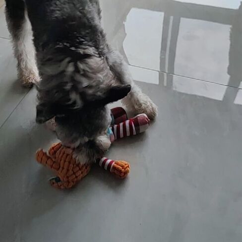 Dog Toy,Plush Dog Squeaky Toys with Crinkle Paper,Stuffed Dog Chew Toys for Small Middle Dogs(Dizzy Puppy) in Saudi Arabia