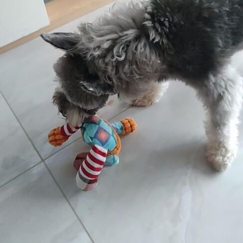 Dog Toy,Plush Dog Squeaky Toys with Crinkle Paper,Stuffed Dog Chew Toys for Small Middle Dogs(Dizzy Puppy) in Saudi Arabia