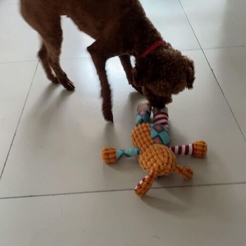 Dog Toy,Plush Dog Squeaky Toys with Crinkle Paper,Stuffed Dog Chew Toys for Small Middle Dogs(Dizzy Puppy) in Saudi Arabia