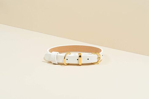 Scamper & Co برونزية 18K صفراء الذهب مطلي بالذهب من الجلد الأصلي مع الألياف الدقيقة الهرم الهرم الهرم طوق الكلب الكلب - الهرم الفاخرة تفاصيل طوق للحيوانات الأليفة نغمة الذهب لعشاق الحيوانات الأليفة ، 16 بوصة أسود in Kuwait