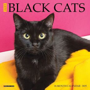 Willow Creek Press ، Black Cats 2025 Mini Wall Calendar