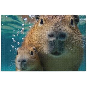 Capybara Pool Jigsaw Buzzles 500 قطعة للبالغين العائلات Zigsaw Puzlle لعبة 20.5 × 14.9 في