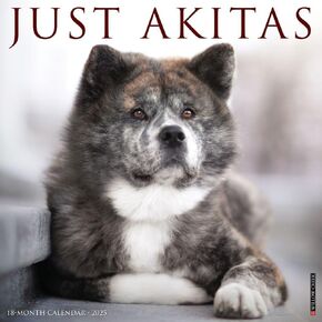 تقويمات Willow Creek Press ، فقط Akitas 2025 التقويم الحائط