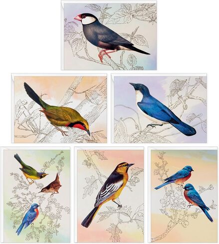 Hallmark Bird Note Card Assortment (24 Blank Cards with Envelopes) Bluebird, Mockingbird, Sparrow, Oriole, Warbler in Saudi Arabia