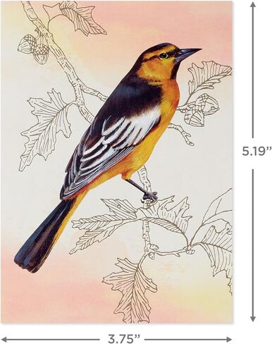 Hallmark Bird Note Card Assortment (24 Blank Cards with Envelopes) Bluebird, Mockingbird, Sparrow, Oriole, Warbler in Saudi Arabia
