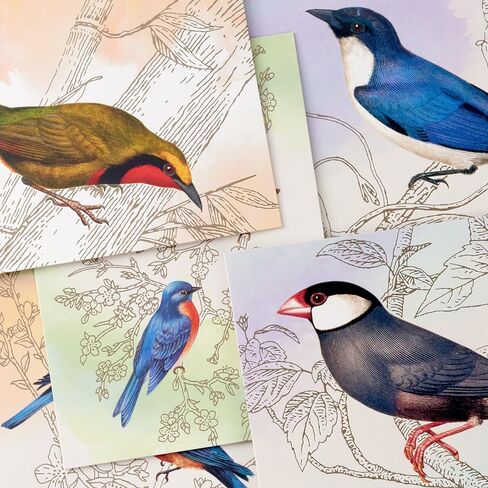 Hallmark Bird Note Card Assortment (24 Blank Cards with Envelopes) Bluebird, Mockingbird, Sparrow, Oriole, Warbler in Saudi Arabia