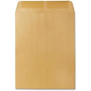 Quality Park Open-End Catalog Envelopes, Gummed, Brown Kraft, 10 x 13, 100 per Box, (41667)