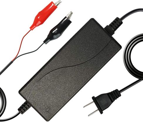 شاحن ذكي ExpertPower 12V 5A لبطاريات الليثيوم LiFePO4 القابلة لإعادة الشحن ذات الدورة العميقة in Kuwait