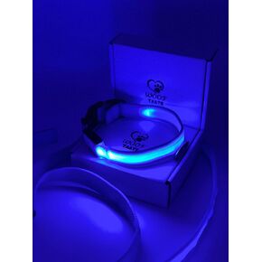 Wooftaste Light Up Dog Collar and Leash for Night ، Glow in the Dark 2 Vices ، USB قابل للشحن ، مقاوم للماء - متوسطة ، وردية