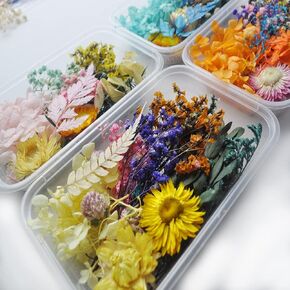 L'BREVOGA Real Dried Flower Set, Dry Plant Hydrangeas Daisy for DIY Candle Resin Craft (1 Box, Random Color)