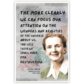HASIDU RACHEL CARSON - Inspirational - Classroom Poster - 12 × 18 بوصة - للوحة الإعلانات - ديكور الفصول الدراسية - المطبوعات التعليمية - المعلمين المعلمين في الولايات المتحدة الأمريكية - HDP0496