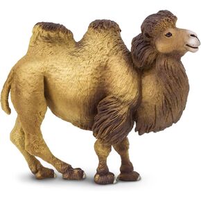 Safari Ltd. تمثال باكتريان الجمل - واقعية 4.25 "شخصية الحياة البرية - لعبة تعليمية للبنين والبنات والأطفال الذين تتراوح أعمارهم بين 3+