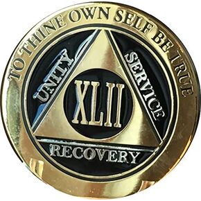RecoveryChip 42 سنة AA ميدالية أنيقة الذهب الأسود الفضي الفضي ثنائي المصنفة شريحة مجهولة المصدر